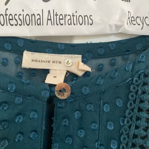 Anthropologie Meadow Rue Silk Grasslands Sheer Swiss Dot Short Sleeve Blouse - Picture 3 of 3